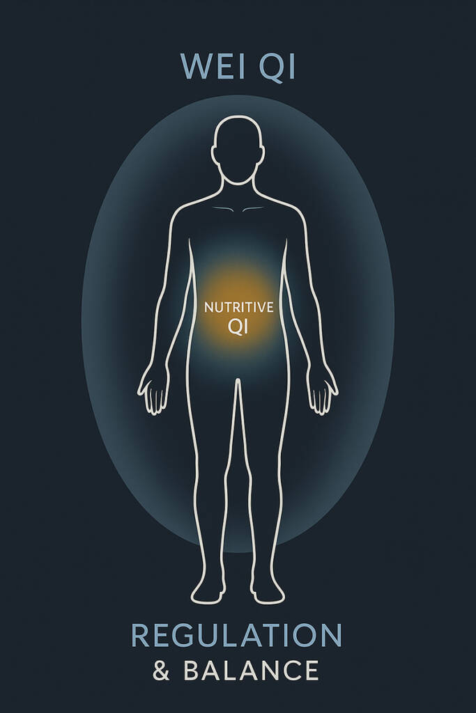 Wei Qi & Nutritive Qi Regulation